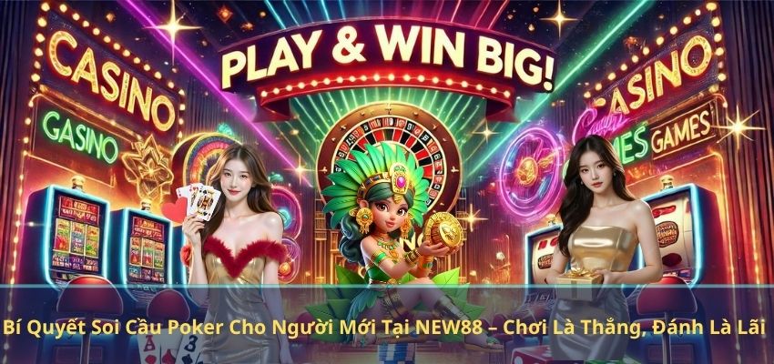 Bí Quyết Soi Cầu Poker Cho Người Mới Tại NEW88 – Chơi Là Thắng, Đánh Là Lãi