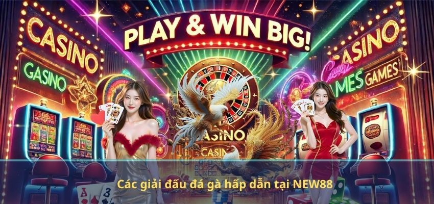 Các giải đấu đá gà hấp dẫn tại NEW88