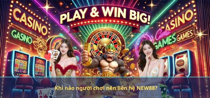 Khi nào người chơi nên liên hệ NEW88?